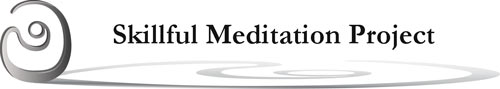 Skillfull Meditation Project